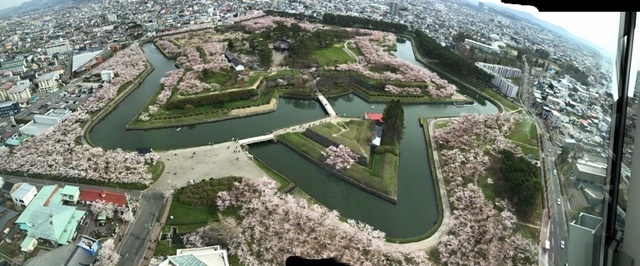2021-04-29T16:23:06.JPG