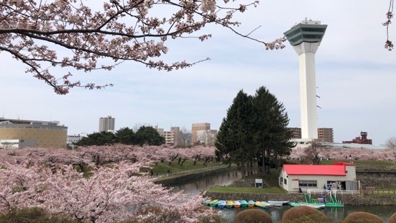 2021-04-29T16:23:06.JPG