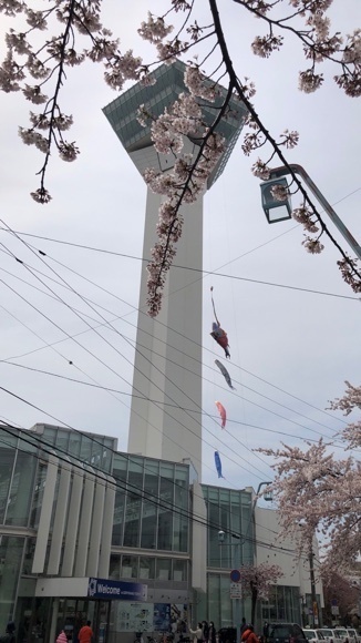2021-04-29T16:23:06.JPG